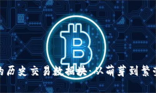 探索比特币钱包的历史交易数据块：从萌芽到繁荣的数字货币之旅