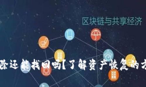 IM钱包代币删除还能找回吗？了解资产恢复的方法与注意事项