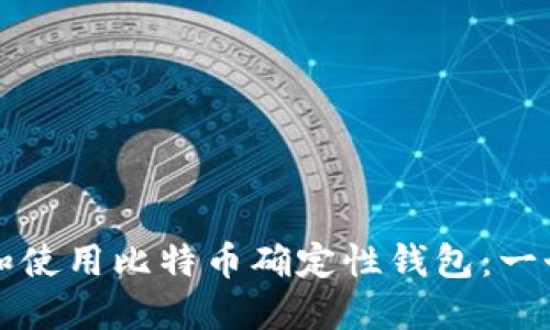 如何选择和使用比特币确定性钱包:一个全面指南