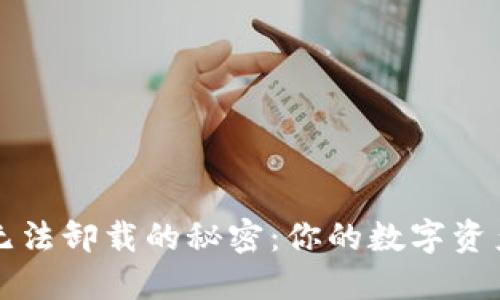 比特币钱包无法卸载的秘密:你的数字资产安全守护者