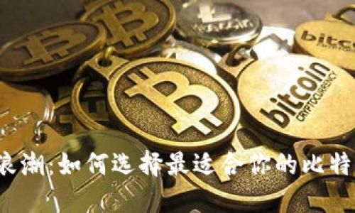驾驭数字浪潮:如何选择最适合你的比特币轻钱包?