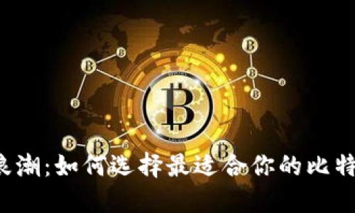 驾驭数字浪潮:如何选择最适合你的比特币轻钱包?