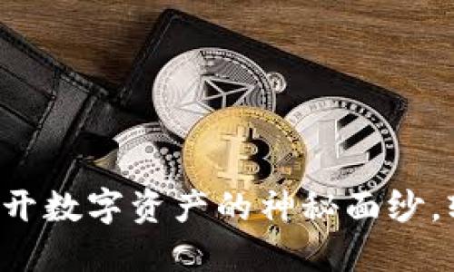 区块链钱包转账记录:揭开数字资产的神秘面纱,轻松追踪你的每一次交易