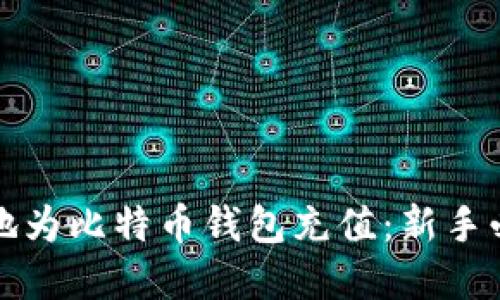 如何安全高效地为比特币钱包充值：新手必读的完全指南