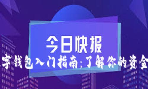 区块链数字钱包入门指南：了解你的资金安全秘籍