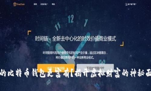 谁的比特币钱包更富有？揭开虚拟财富的神秘面纱