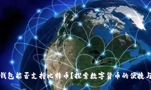 苹果钱包能否支持比特币？探索数字货币的便捷与风险