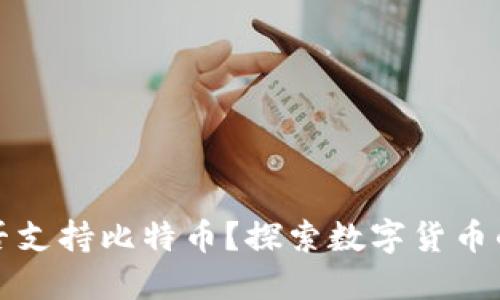 苹果钱包能否支持比特币？探索数字货币的便捷与风险