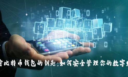 解密比特币钱包的钥匙:如何安全管理你的数字财富