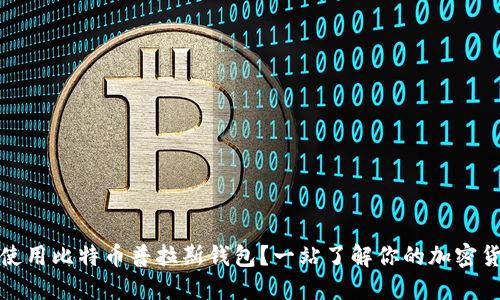 如何安全使用比特币普拉斯钱包?一站了解你的加密货币新伙伴