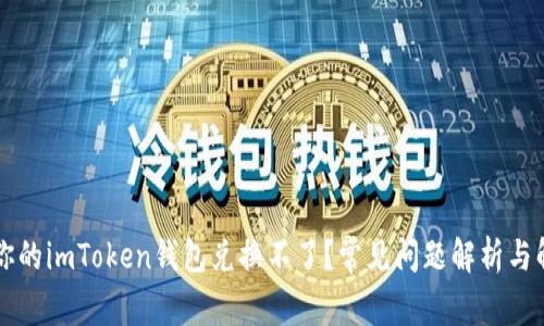 为什么你的imToken钱包兑换不了?常见问题解析与解决方案