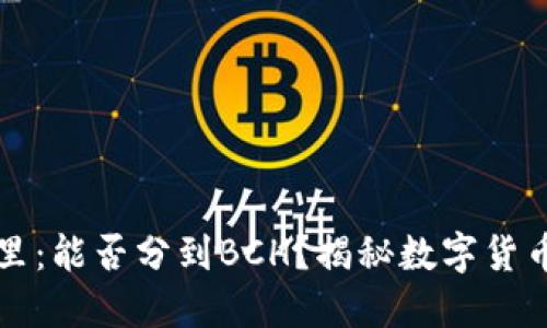 比特币在钱包里:能否分到BCH?揭秘数字货币的分叉与未来