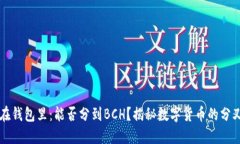 比特币在钱包里：能否分