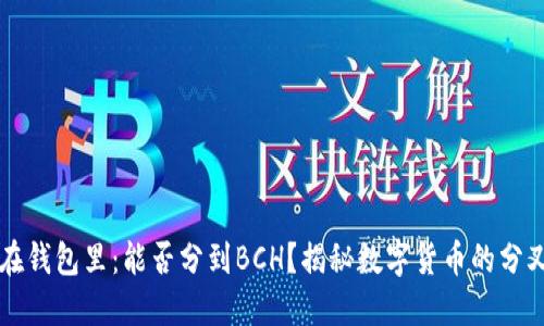 比特币在钱包里:能否分到BCH?揭秘数字货币的分叉与未来