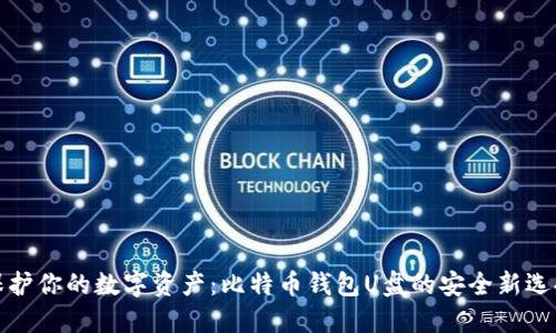 保护你的数字资产：比特币钱包U盘的安全新选择