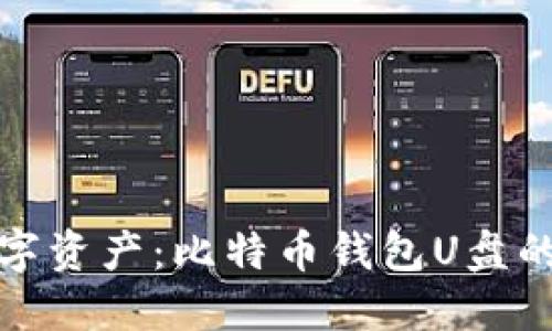 保护你的数字资产：比特币钱包U盘的安全新选择