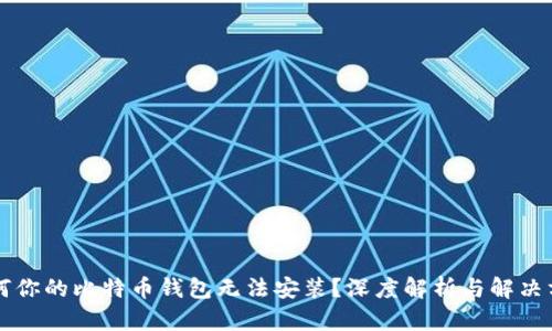 为何你的比特币钱包无法安装?深度解析与解决方案