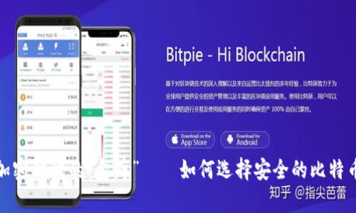 数字加密时代的“金库”——如何选择安全的比特币钱包