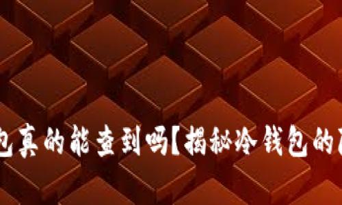 USDT冷钱包真的能查到吗?揭秘冷钱包的隐私与安全