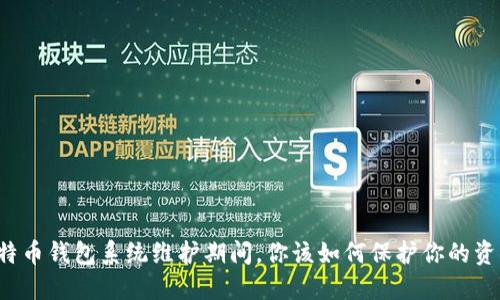 比特币钱包系统维护期间,你该如何保护你的资产?