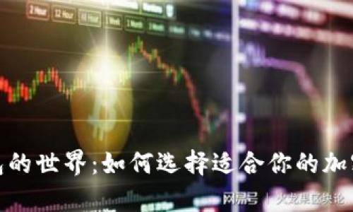 探索比特币钱包的世界:如何选择适合你的加密资产存储方案