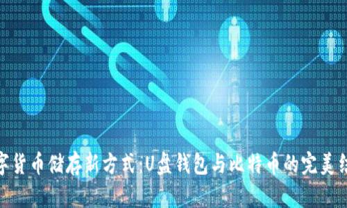数字货币储存新方式：U盘钱包与比特币的完美结合