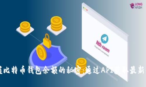 掌握比特币钱包余额的秘密:通过API获取最新信息