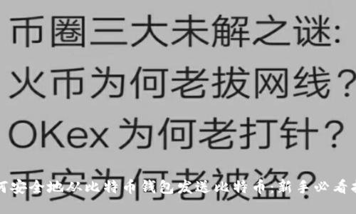 如何安全地从比特币钱包发送比特币:新手必看指南
