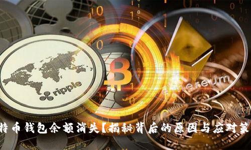 比特币钱包余额消失?揭秘背后的原因与应对策略!