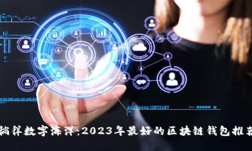 徜徉数字海洋:2023年最好的区块链钱包推荐