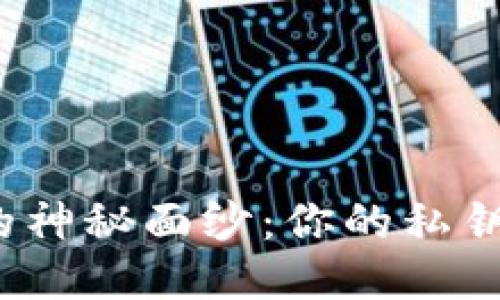 揭开比特币钱包的神秘面纱:你的私钥安全值得信赖吗?