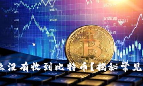 比太钱包:为什么没有收到比特币?揭秘常见问题与解决方案