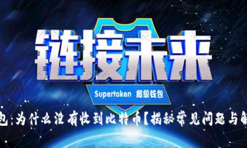 比太钱包:为什么没有收到比特币?揭秘常见问题与解决方案