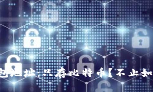 钱包地址:只存比特币?不止如此!