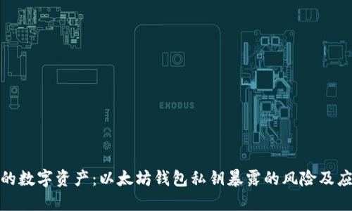 保护你的数字资产:以太坊钱包私钥暴露的风险及应对策略