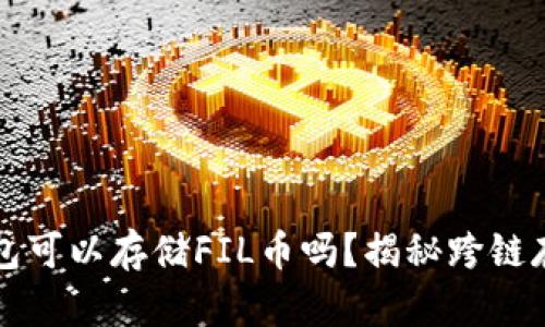以太坊钱包可以存储FIL币吗?揭秘跨链存储的奥秘