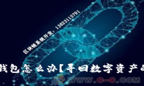丢失IM钱包怎么办?寻回数字资产的全攻略