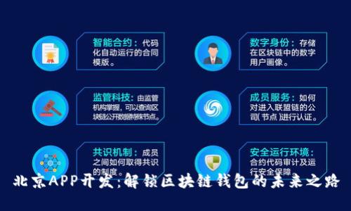 北京APP开发:解锁区块链钱包的未来之路