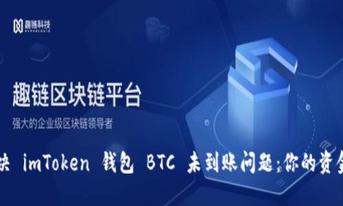 ### 如何解决 imToken 钱包 BTC 未到账问题:你的资金安全保障指南