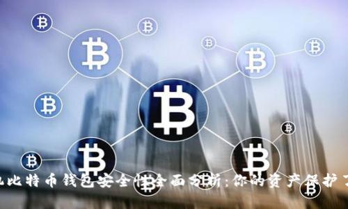 手机比特币钱包安全性全面分析:你的资产保护了吗?