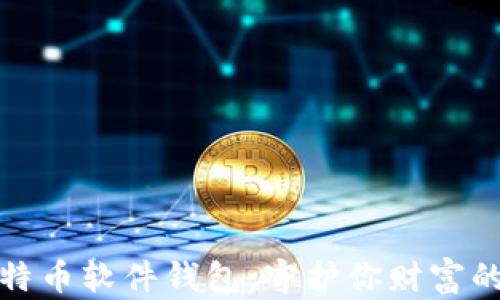 
安全的比特币软件钱包：守护你财富的数字护卫