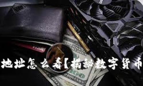 虚拟币钱包地址怎么看？揭秘数字货币的神秘面纱