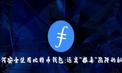 如何安全使用比特币钱包