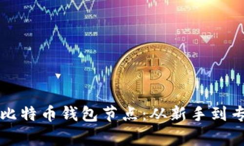 如何安全更新比特币钱包节点：从新手到专家的完整指南