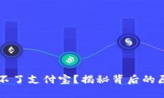 区块链钱包用不了支付宝