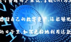 ImToken钱包是一个数字资产