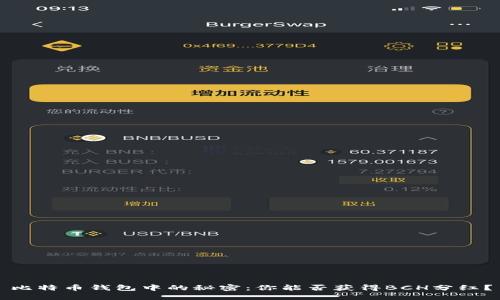 比特币钱包中的秘密：你能否获得BCH分红？