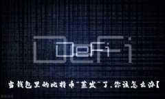 当钱包里的比特币“蒸发