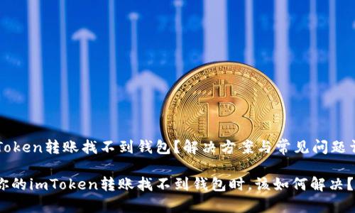 imToken转账找不到钱包？解决方案与常见问题详解

当你的imToken转账找不到钱包时，该如何解决？