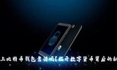 网上比特币钱包靠谱吗？